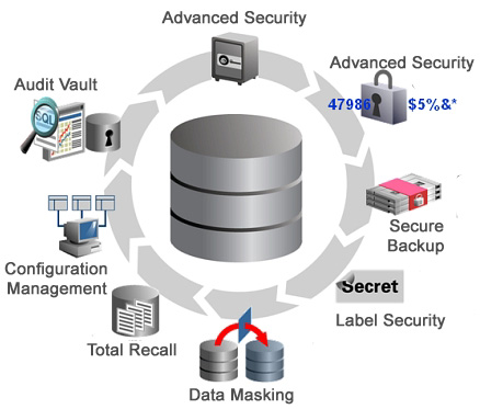 Oracle Database Security Audit, Advanced Security, Audit Vault, Label Security, Data Masking, Secure Backup
